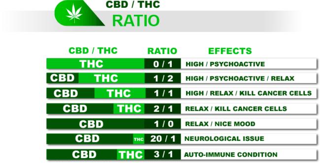 what is a CBD:THC Ratio ?